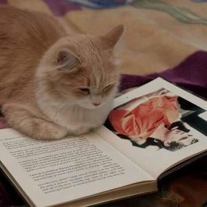 Meet your Posher, Lulu